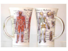 DunoonAnatomyMug.JPG